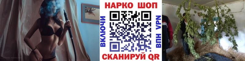 Где купить наркотики Светогорск Гашиш  СОЛЬ  КОКАИН  Меф  Каннабис 