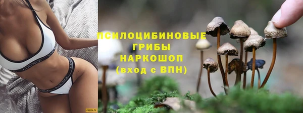 МДПВ Аркадак