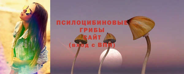крисы Армянск