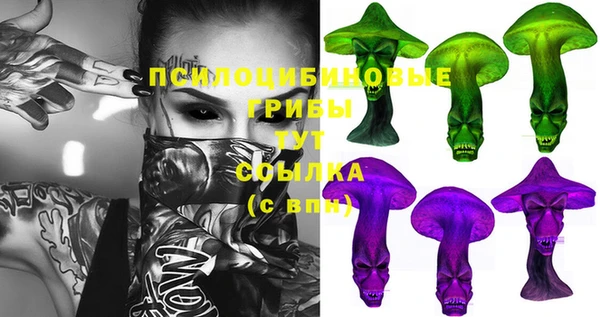 крисы Армянск